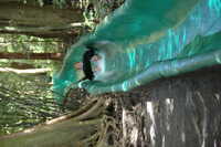  2007-12-10 14.59.12.JPG 